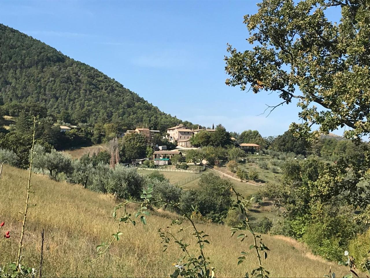 Agriturismo Il Castello Assisi Exterior photo